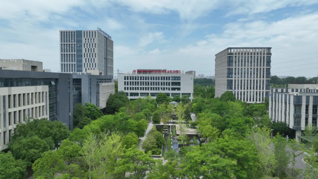何以枢纽，“转化之力”催新程