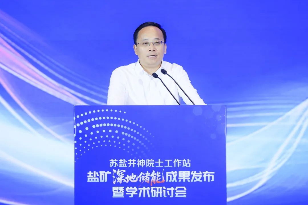 苏盐井神院士工作站盐矿深地储能成果发布暨学术研讨...